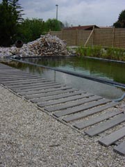 Garden and swimming pool